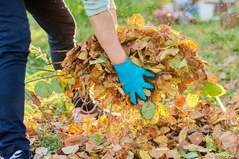 Autumn Leaf Removal in Honolulu, HI