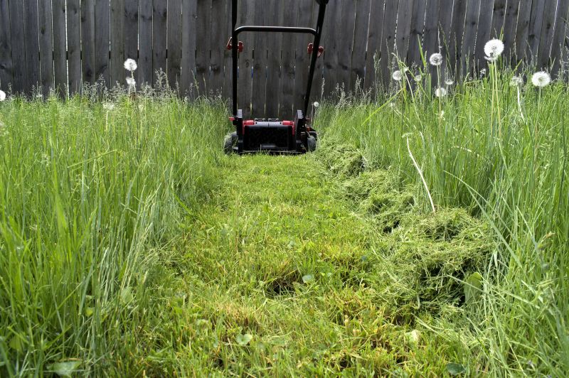 Brush Mowing Service in Waldorf, MD