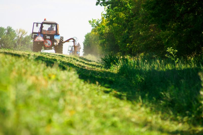 Bush Hogging Service in Prince Georges County, MD