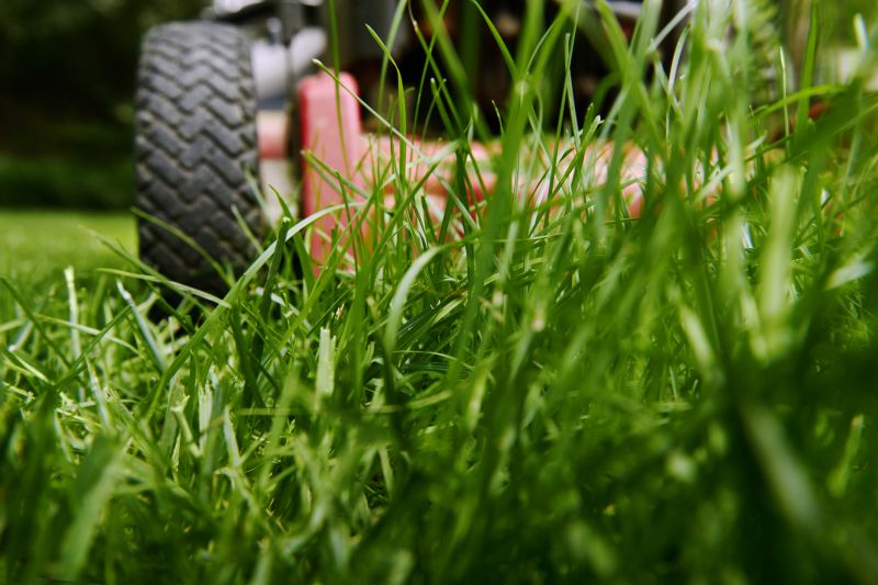 Field Mowing in Duluth, MN