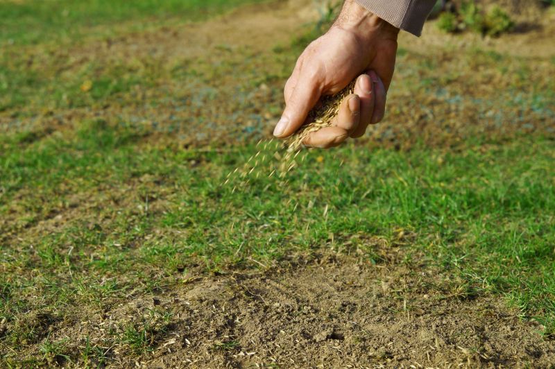 Grass Seed Installation in Ventura County, CA