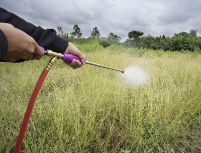 Lawn Herbicide Treatment in Ventura County, CA
