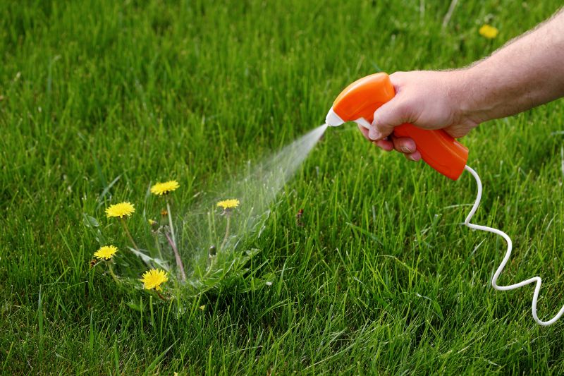 Lawn Herbicide Treatment in Rockwall, TX