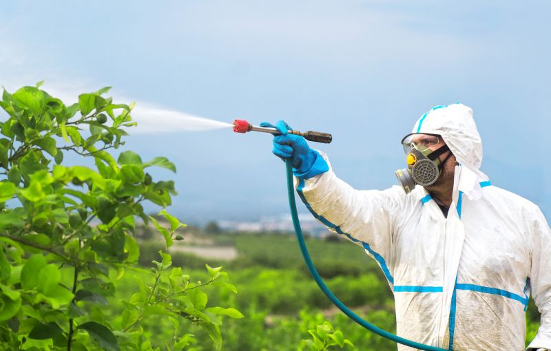 Lawn Herbicide Treatment in Rockwall, TX
