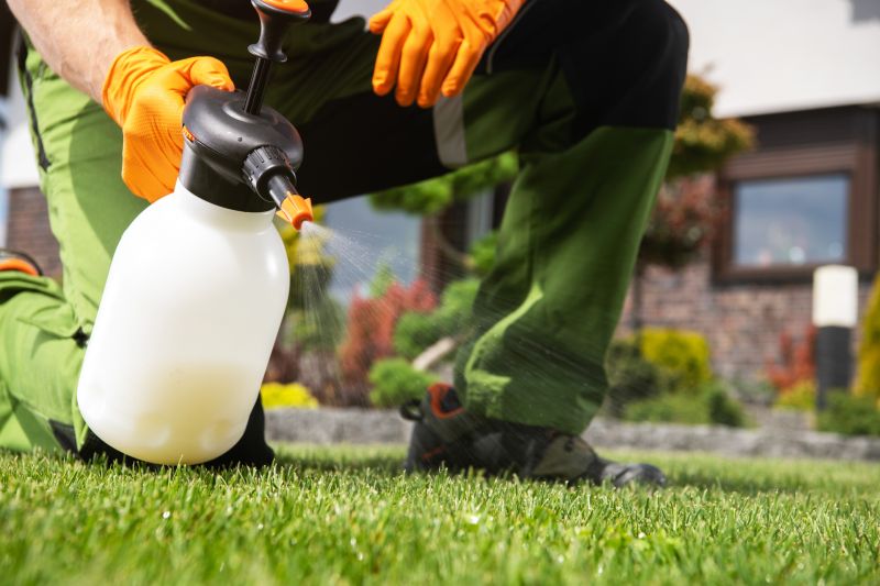 Lawn Moss Control in Ventura County, CA