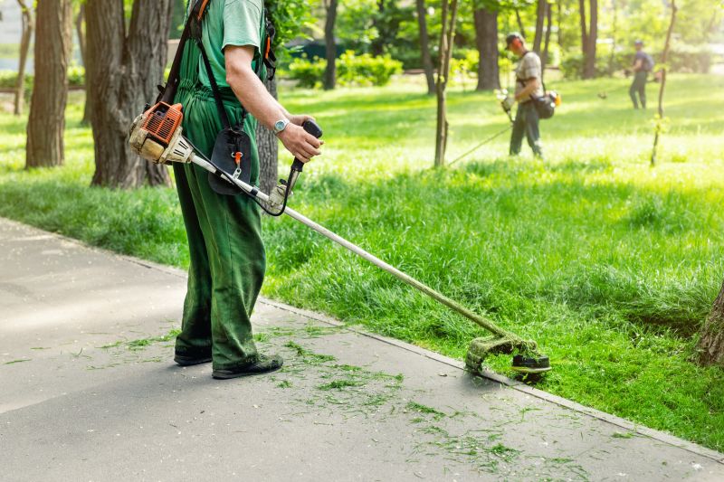 Lawn Trimming and Edging Tools