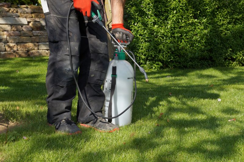 Lawn Weed Control in Rockwall, TX