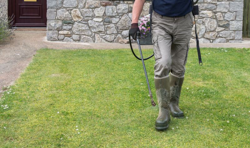 Lawn Weed Treatment in Aiken, SC