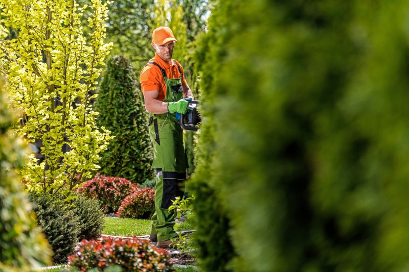 Products For Lawn Edge Trimmings in use