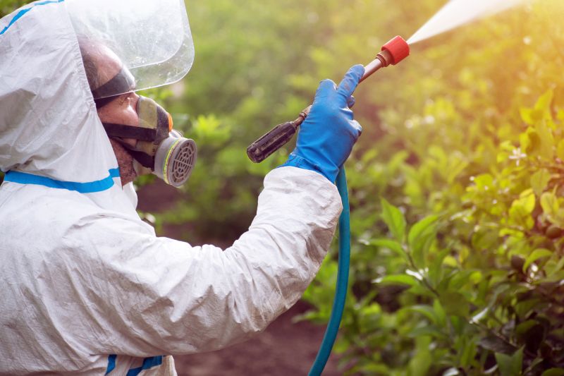 Slope Weed Control in Rockwall, TX