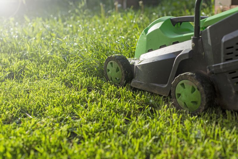 Tall Grass Mowing in Bowie, MD