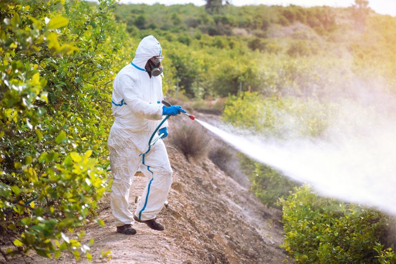 Thistle Treatment in Ventura County, CA