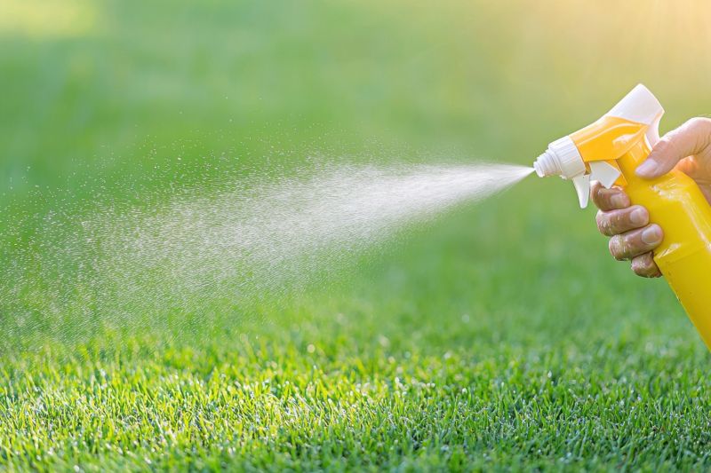 Weed Control Service in Rockwall, TX