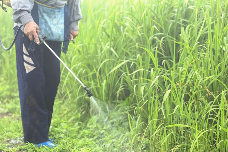 Weed Control Service in Rockwall, TX