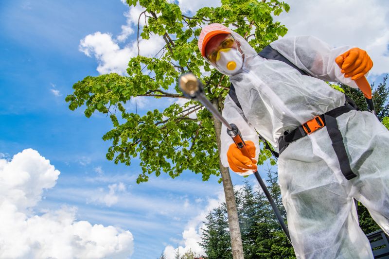 Weed Prevention Service in Honolulu, HI