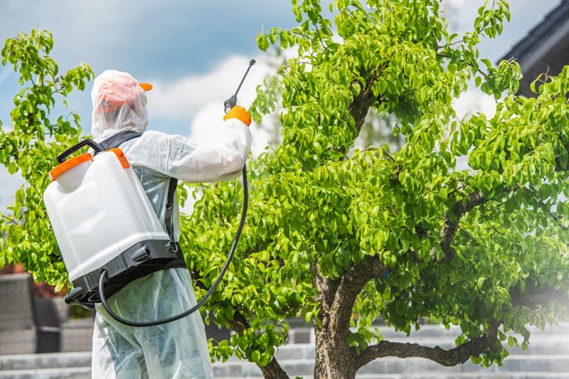 Weed Prevention Service in Ventura County, CA