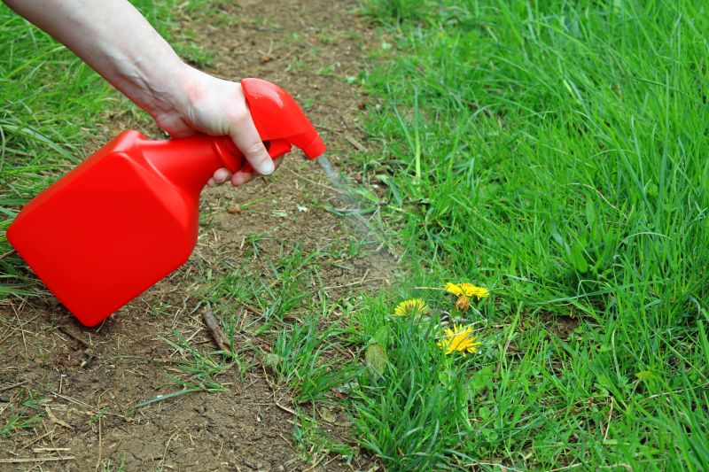 Weed Spraying in Aiken, SC