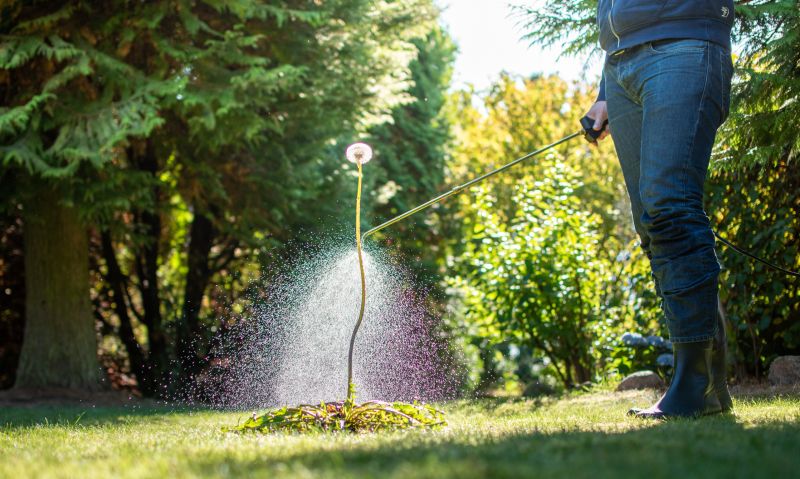 Weed Spraying in Aiken, SC