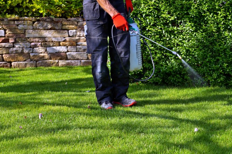 Weed Spraying in Honolulu, HI